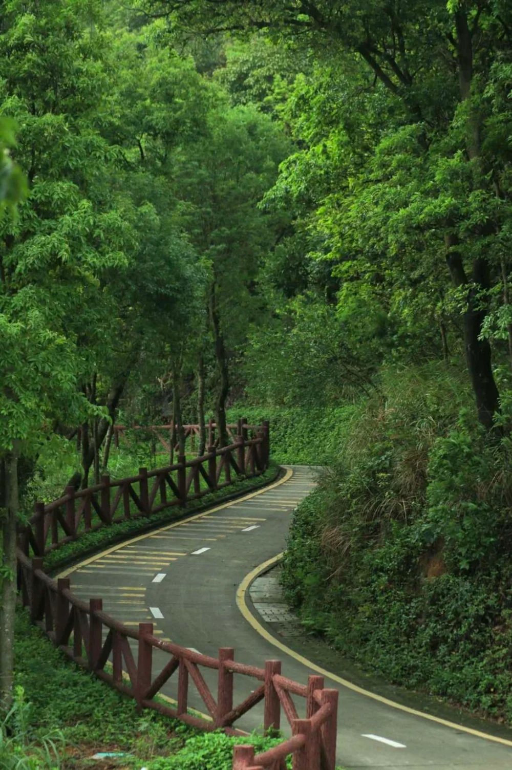 深圳銀湖山郊野徑。