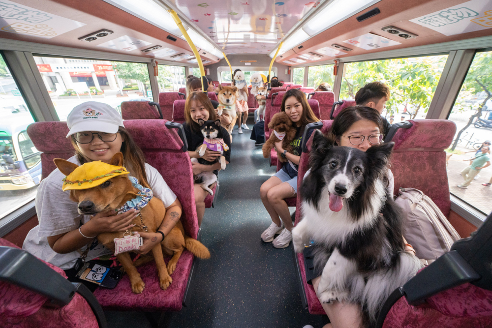帶愛寵玩遍港九新界！