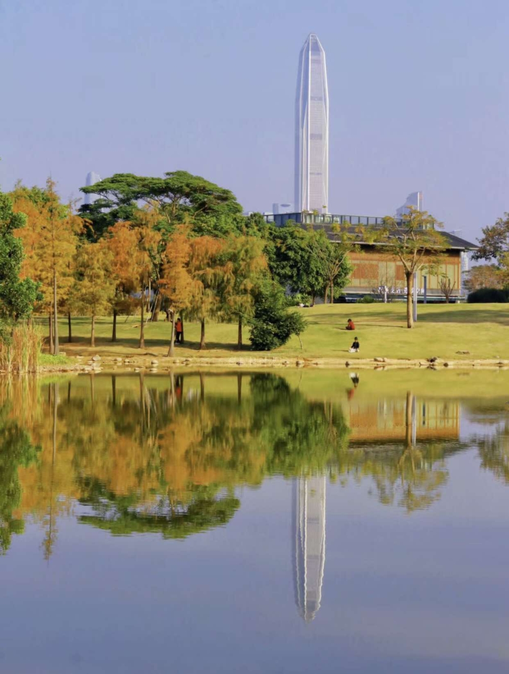 天氣晴朗時更會見到鄰近景物倒映在湖面上的景色，尤其秋季湖畔的落羽松變成橙及紅色，絕美！