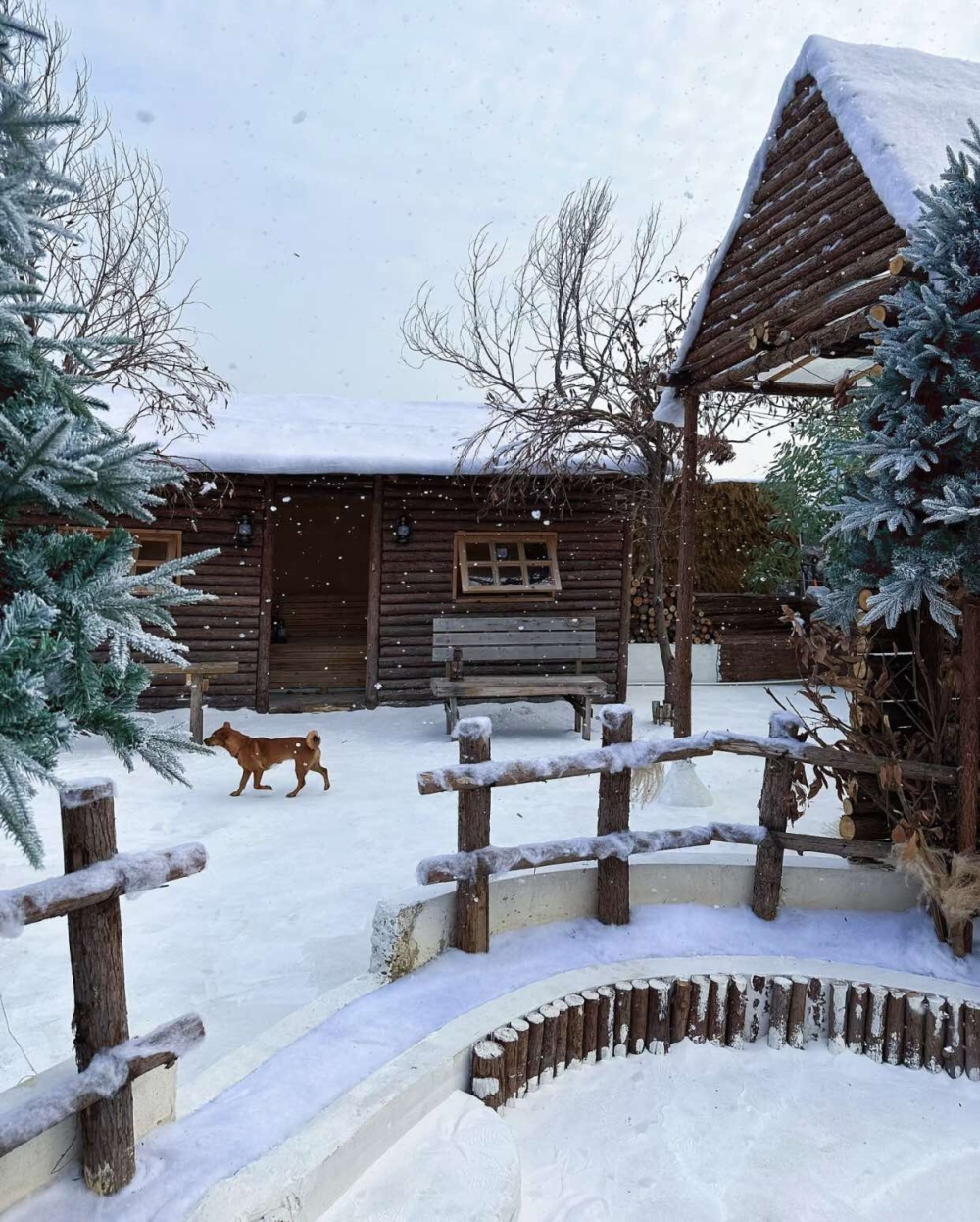 深圳聖誕好去處推介：nicemini 網紅打卡·光影藝術館。