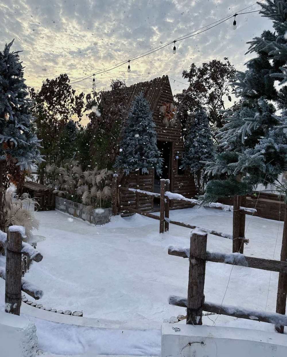 nicemini 網紅打卡·光影藝術館設有各式各樣拍攝點，還有期間限定主題包括冬季雪景及喜慶新年場景等～