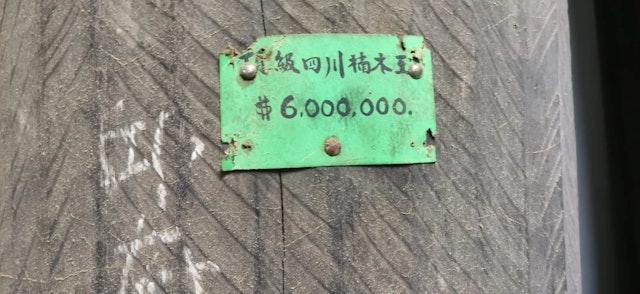 William附上一副為另一貴價木棺「楠木王」的照片,市面叫價600萬
