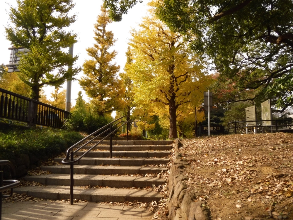 駒澤奧林匹克公園。
