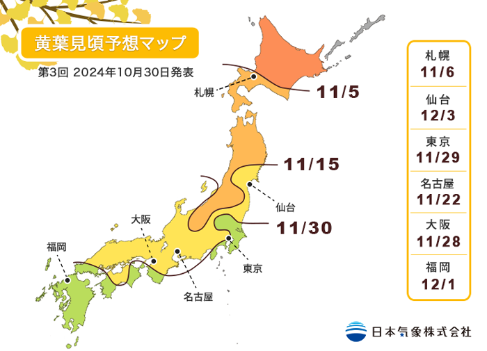 每年11月至12月是日本觀賞黃葉的最佳時期,今年預測11月初從北日本的札幌開始轉黃,慢慢延伸至西南方的福岡。