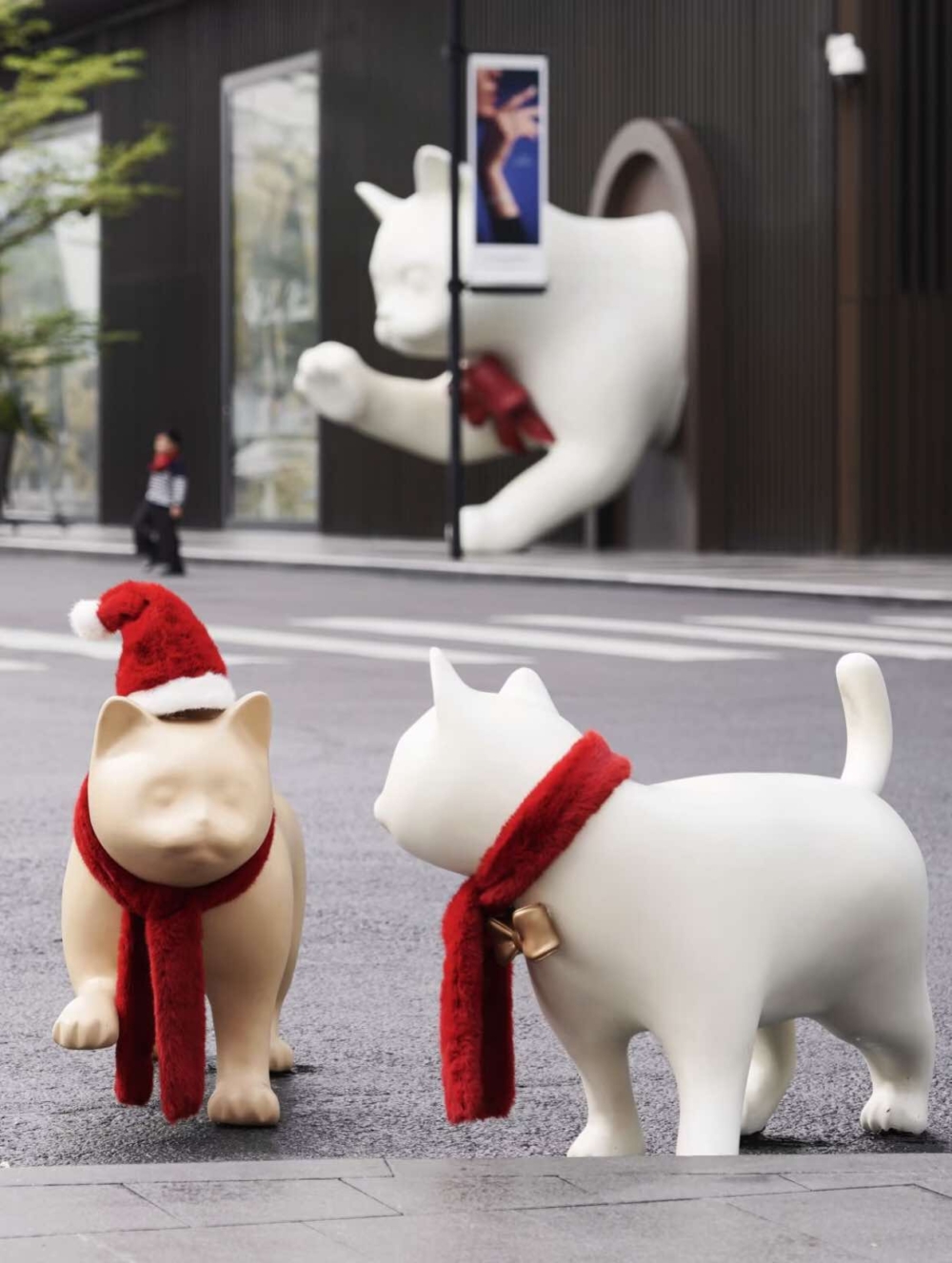 貓咪裝置都戴上可愛聖誕裝飾！