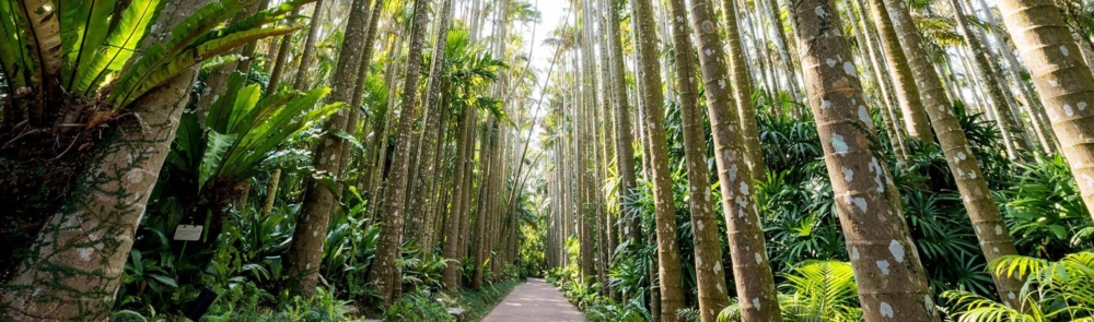 東南植物樂園。