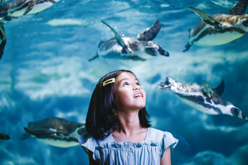 DMM Kariyushi水族館。