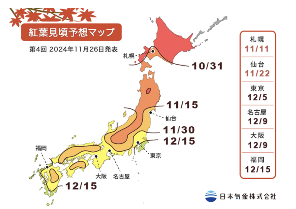 2024年紅葉預測。