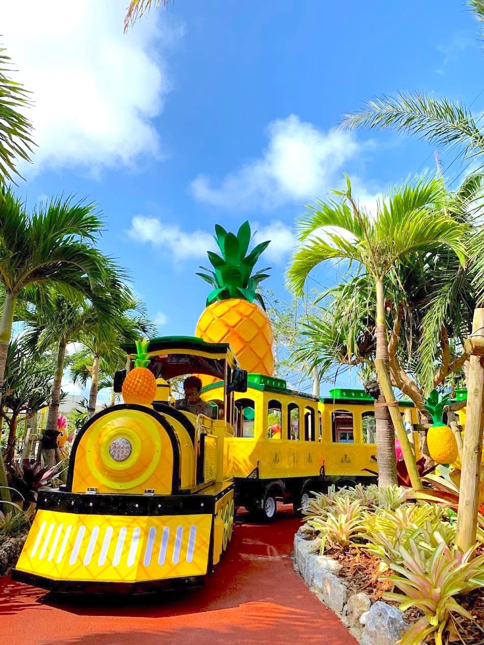 沖繩名護鳳梨園。