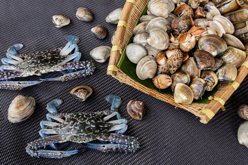 香港諾富特東薈城酒店：「蟹」逅海貝盛宴。