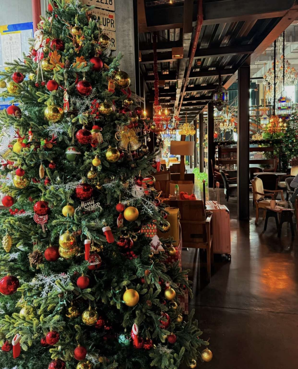 璀璨奪目的聖誕樹！