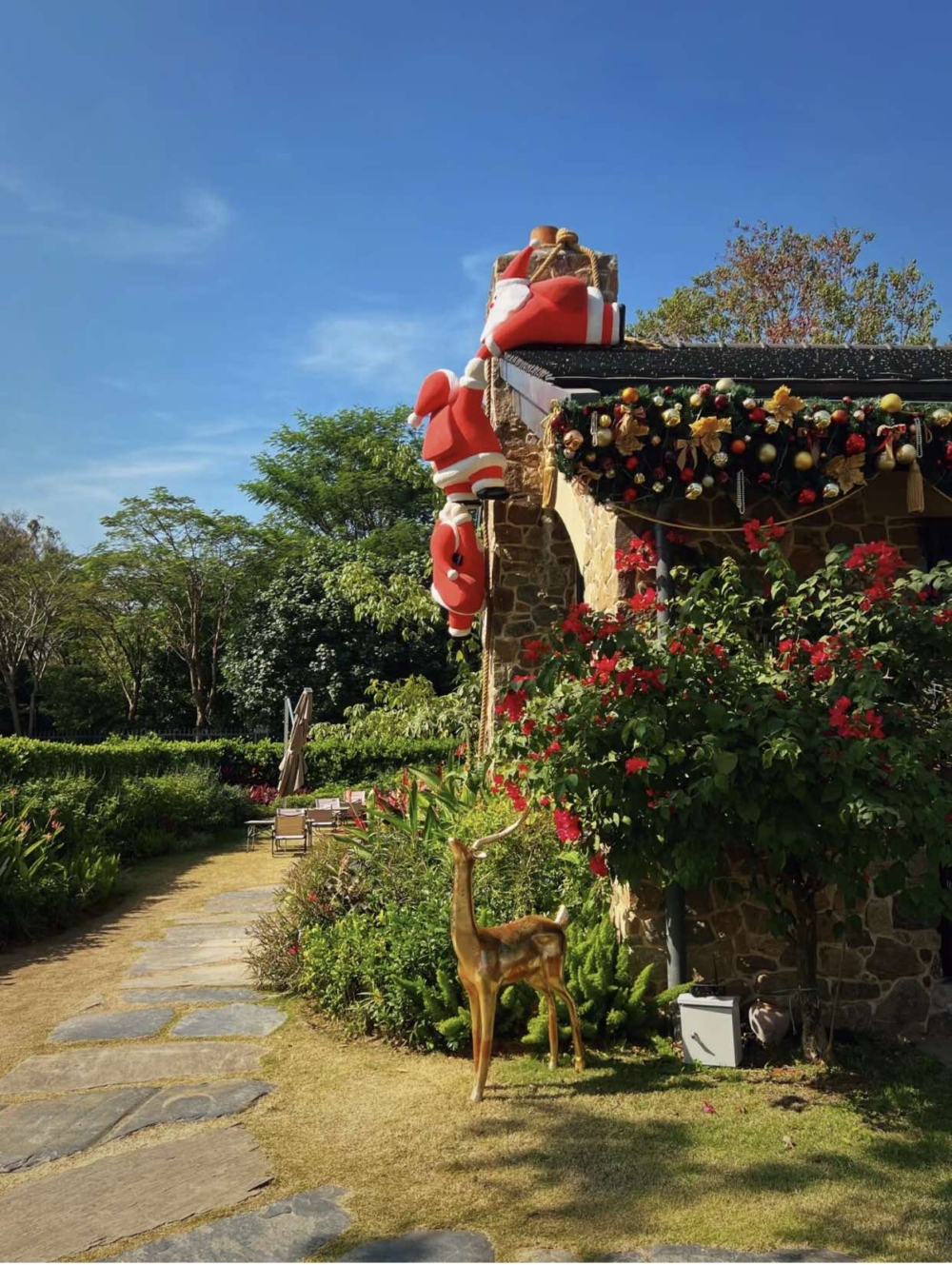 今個聖誕以奇趣劇院為主題，融入豐富色彩，處處可見各種可愛又溫馨的聖誕佈置～