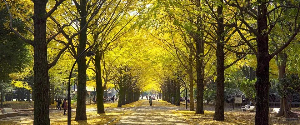 光之丘公園。
