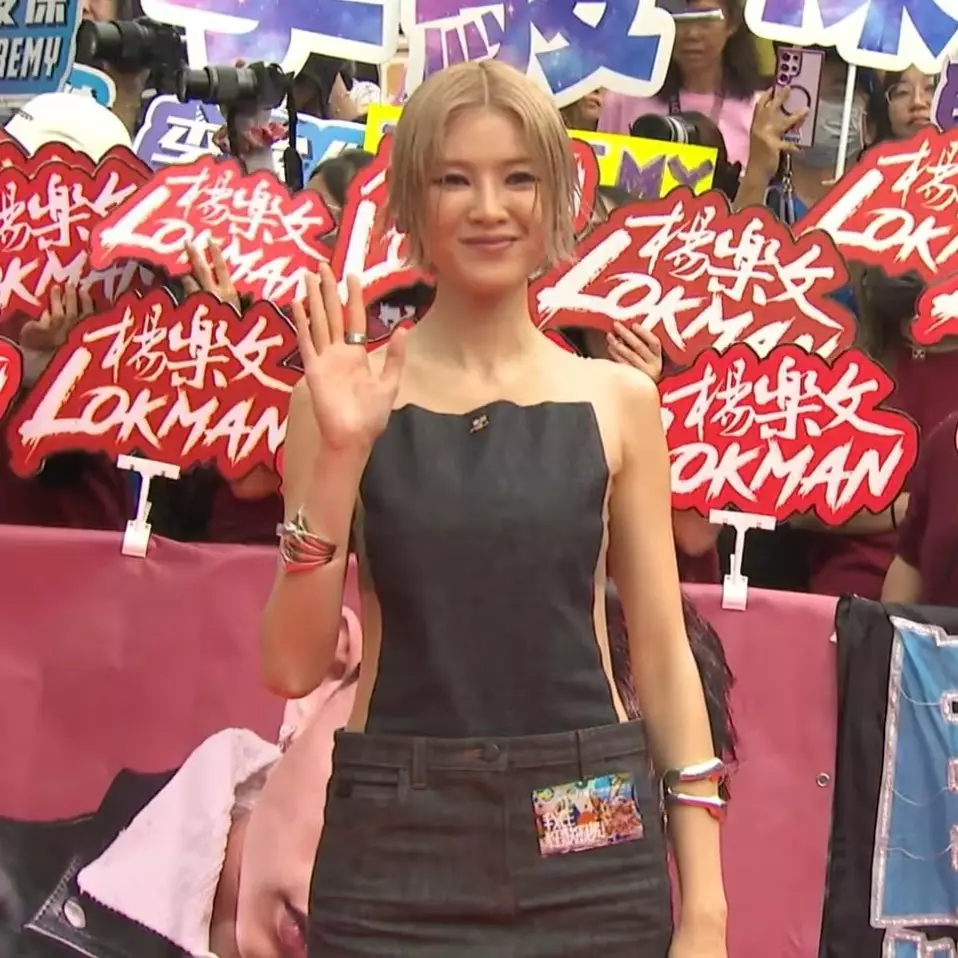 陳雷上身造型正面看猶如一塊紫菜