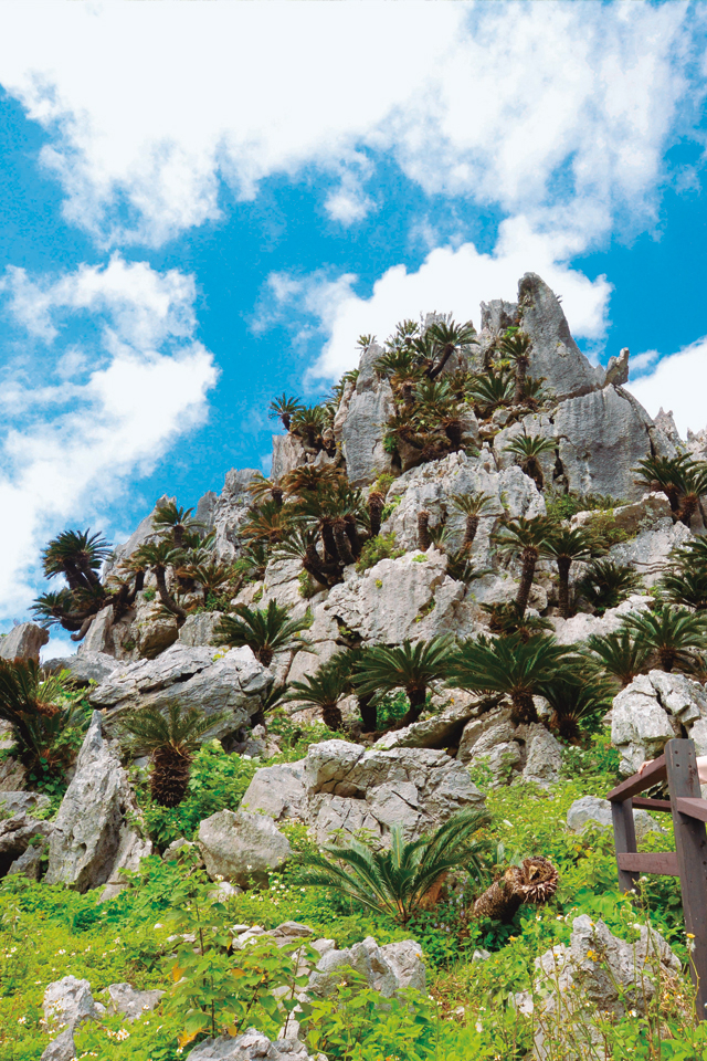 山原國立公園大石林山。