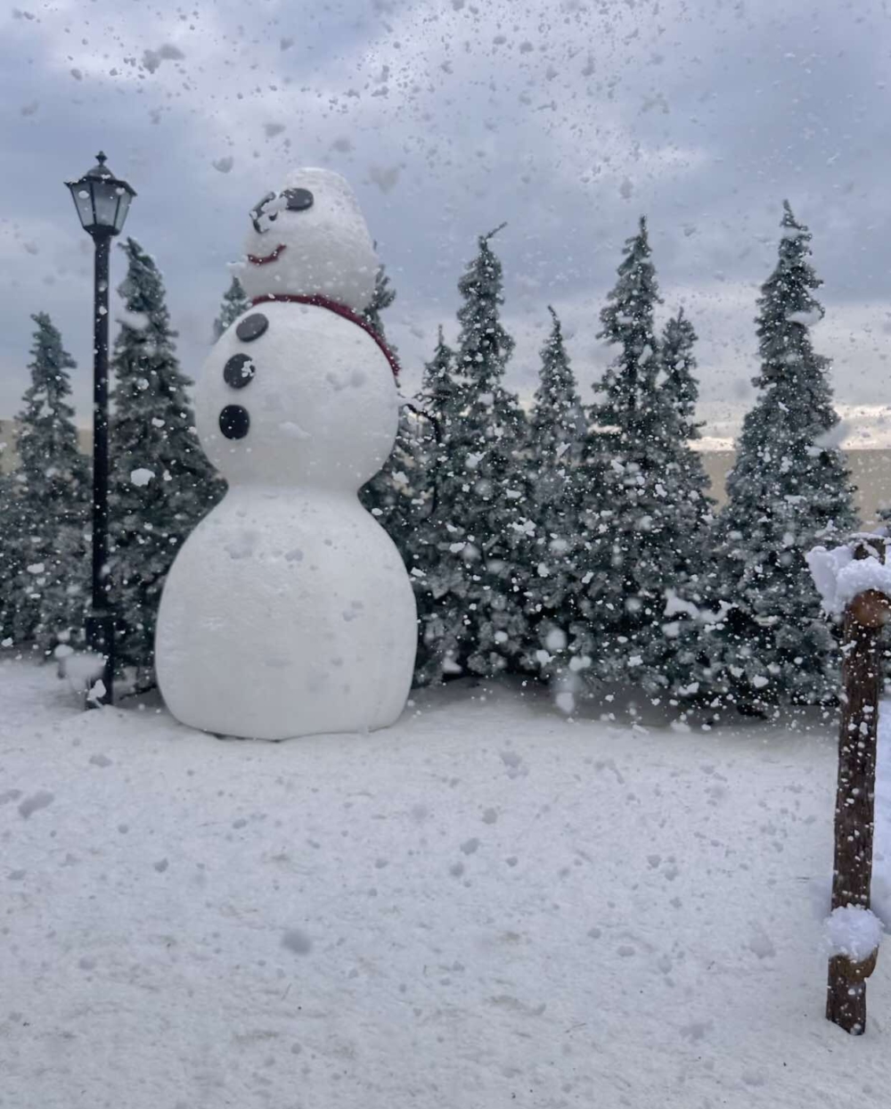 UT COFFEE室外不但設有多棵聖誕樹，更打造了一個巨型雪人