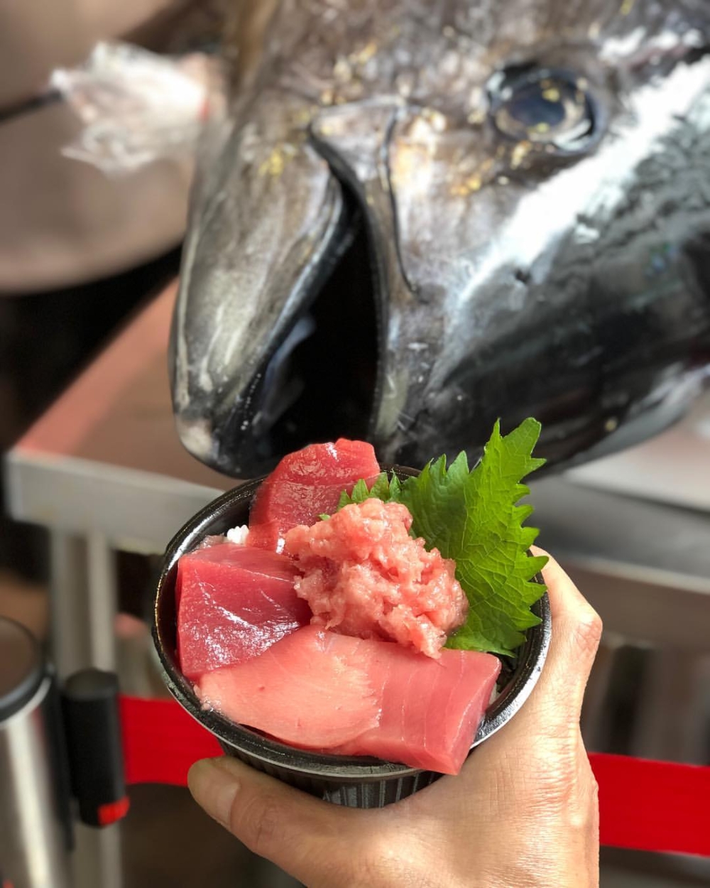 黑銀鮪魚屋。