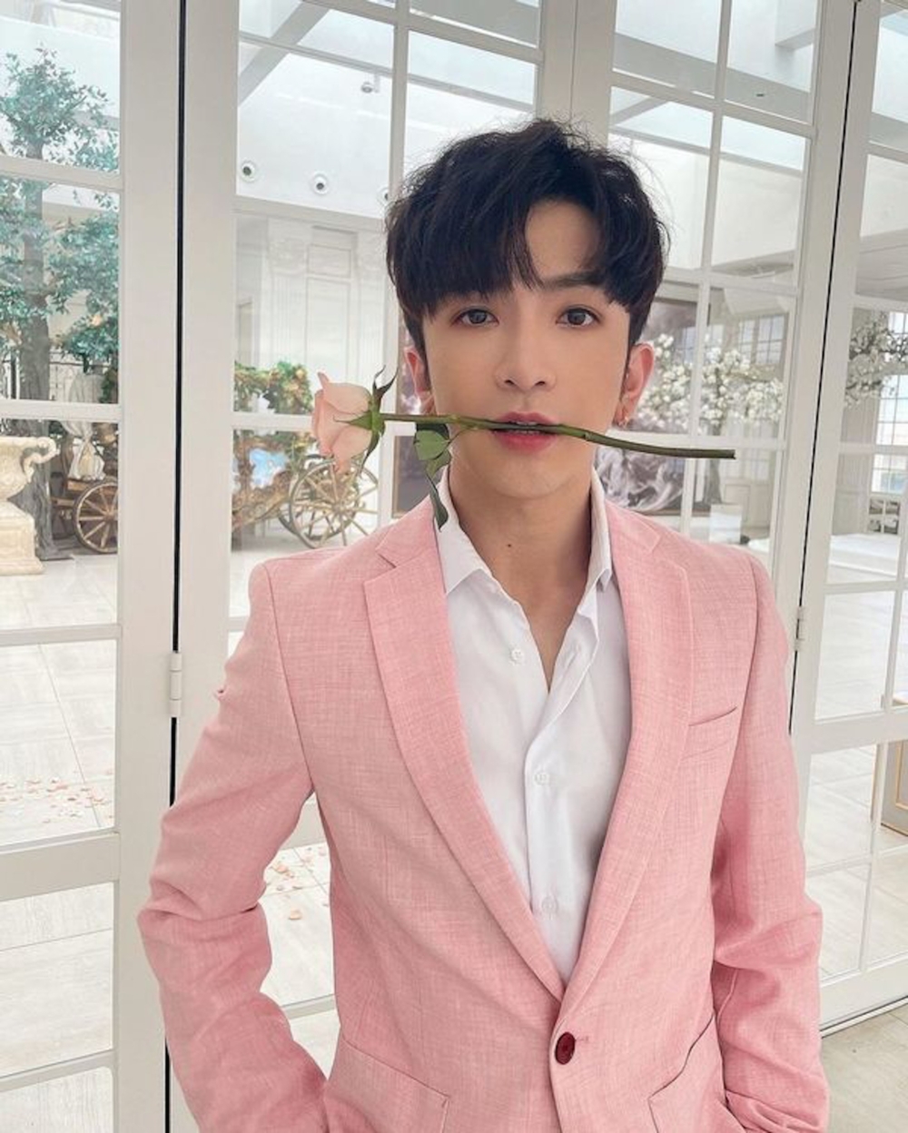 亦有網友笑指方力申想挑戰粉紅教主Anson Lo