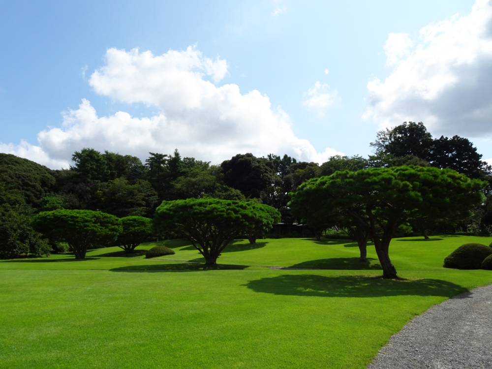 新宿御苑原本是德川家康的家臣內藤清成的宅邸，於1906年由政府接手後規劃變成皇室庭園使用。