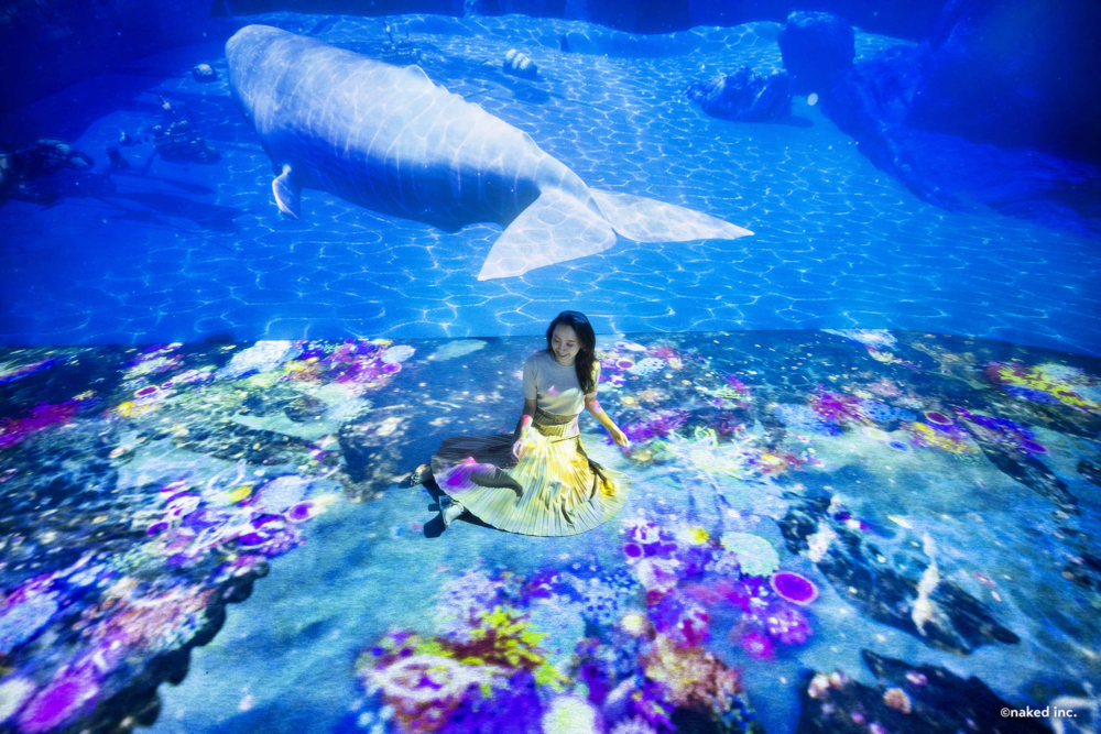 不同嘅海洋生物穿梭喺身邊，靚到好似真嘅一樣！