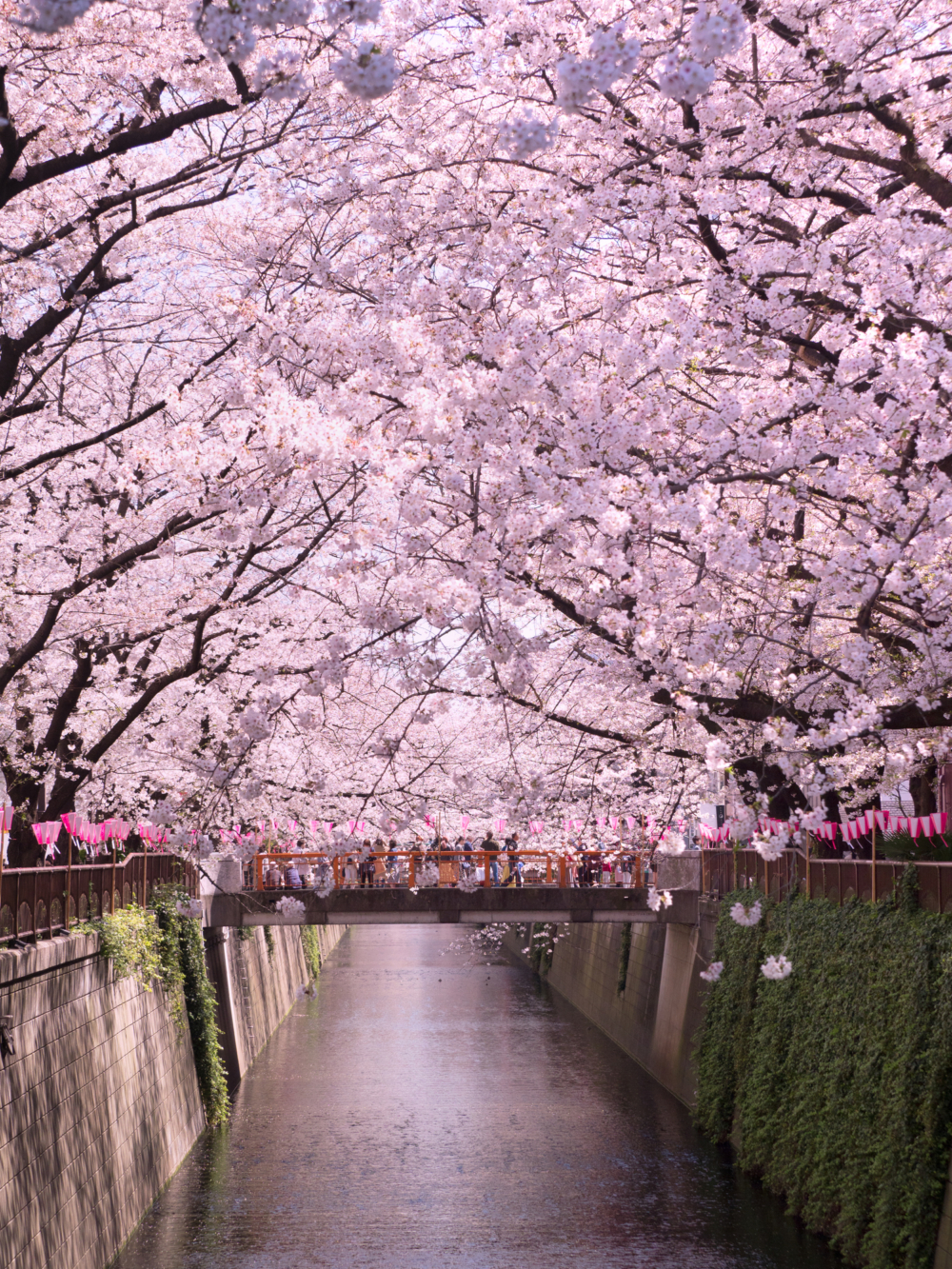 目黑川。