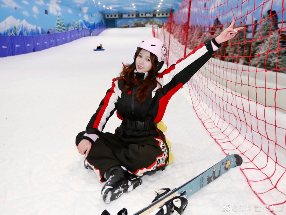 阿爾卑斯冰雪世界。