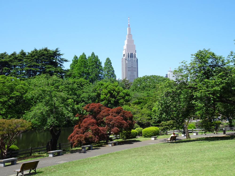 位於日本東京的新宿御苑，不但是擁有百年歷史的皇室庭園，亦是東京超人氣賞櫻景點之一！