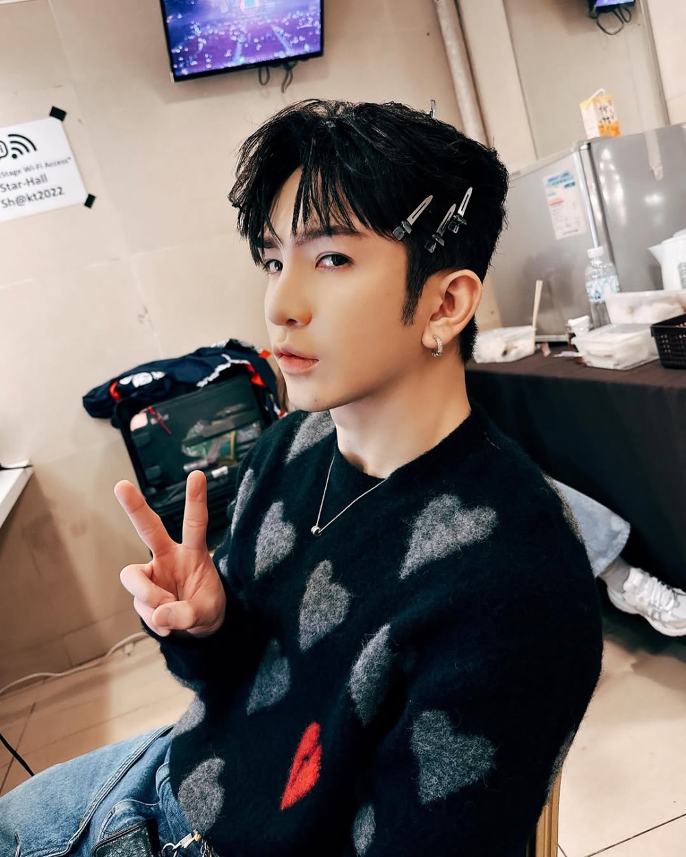 屬豬藝人代表：Anson Lo（盧瀚霆）。