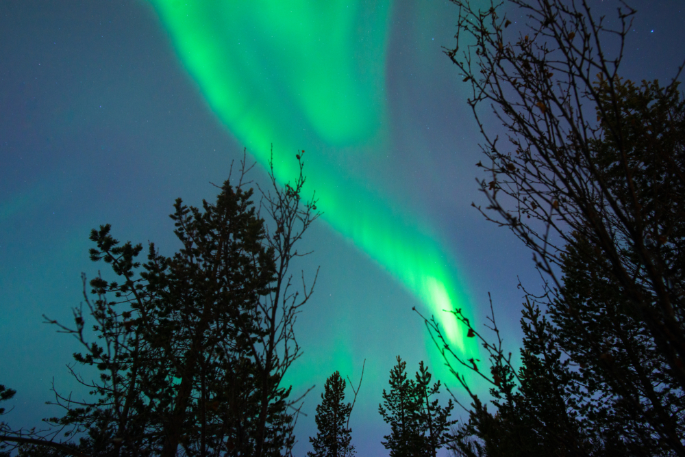加拿大黃刀鎮的北極光令聖誕變得更浪漫!