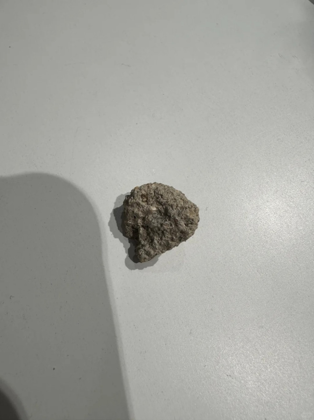 正在排隊的客人們也意識到，是樓上有人故意高空擲石