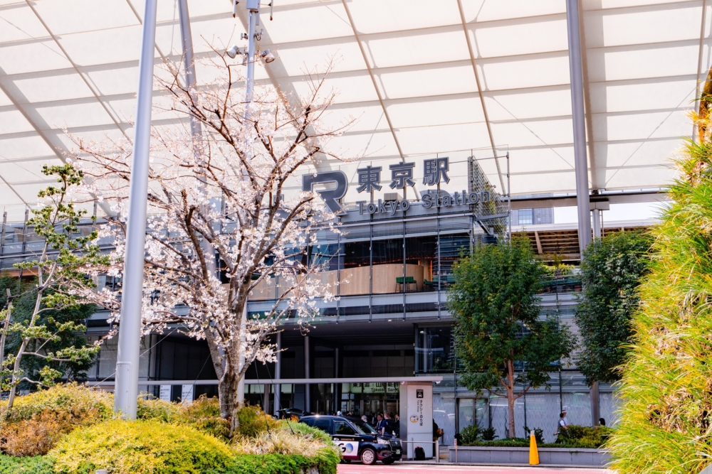 位於東京車站東側的八重洲是人氣賞櫻景點！