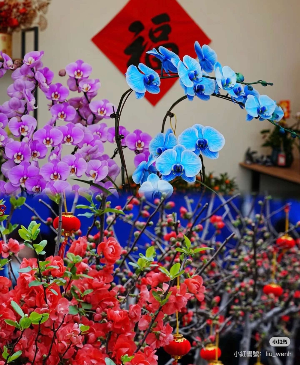 深圳各區設有多個迎春花市,與香港維園年宵十分相似!
