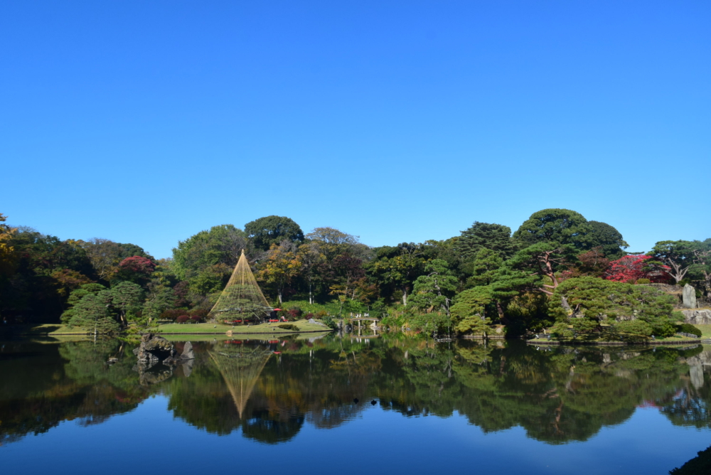 六義園的庭園設計特點是「池泉迴遊式庭園」，圍繞著池塘佈置的步行路徑，讓遊客可以走邊從不同角度觀賞庭園的自然景觀～