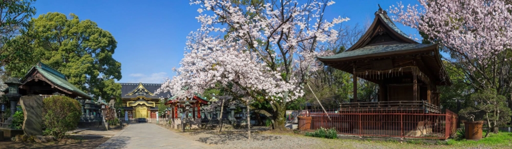 上野東照宮神社。