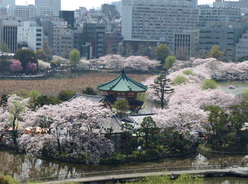 上野不忍池／弁天堂。