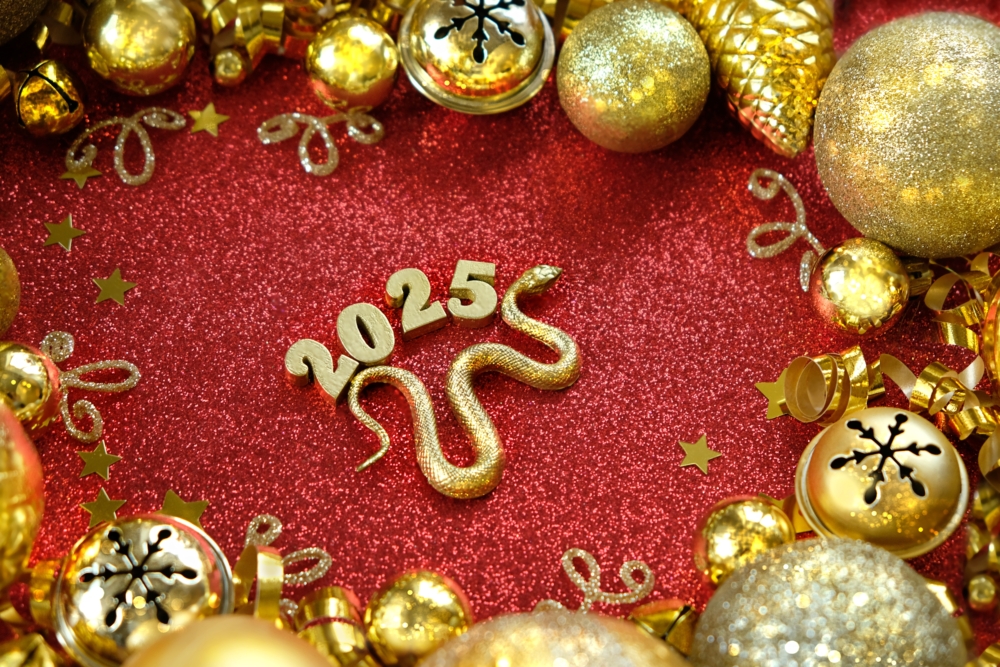  金色蛇年裝飾，閃耀著滿滿的喜慶氛圍！2025，好運來！