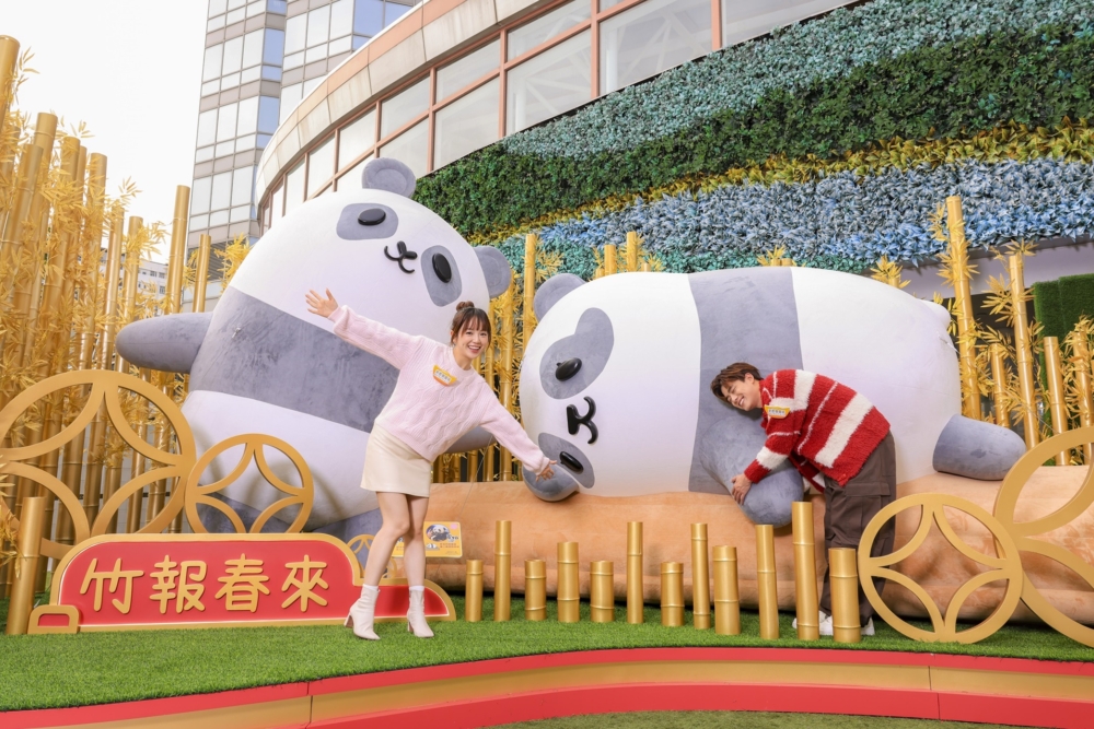 龍鳳胎寶寶快樂賣萌