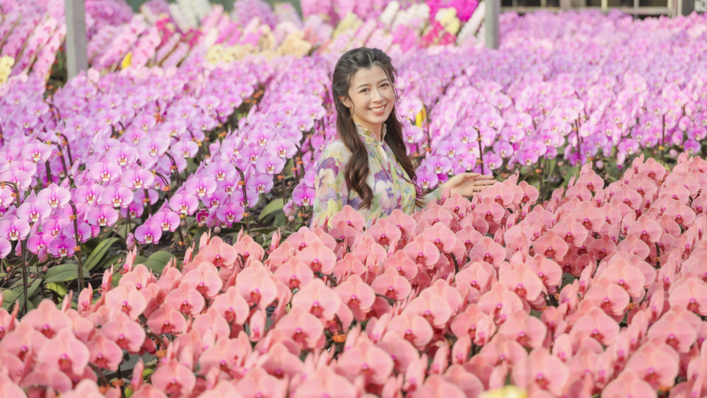 東港城：第19屆新春花展會。