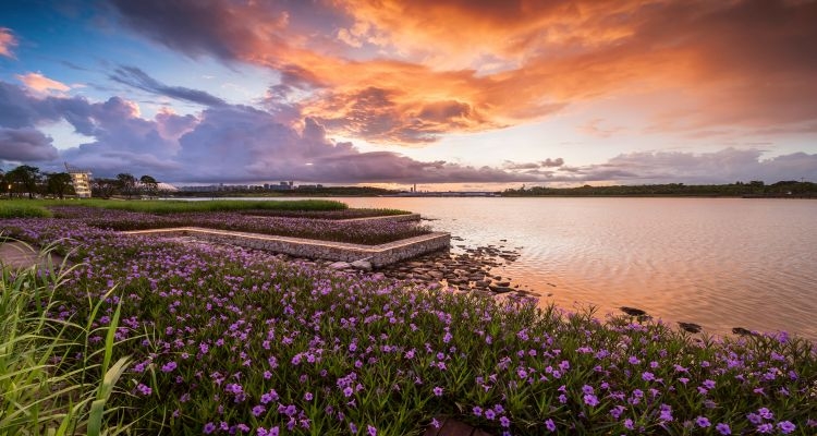 人才公園與深圳灣濱海休閒帶連接,除了可觀賞美麗風景,處處可見融入特別突出尊重人才的創新元素。