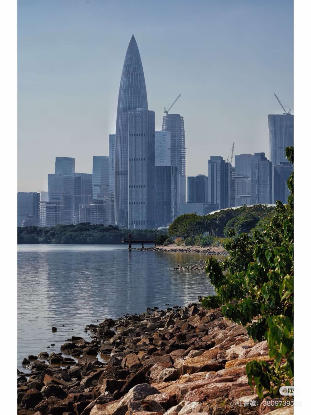 深圳灣公園沿海岸線長約13公里,設有海邊人行棧道及單車道。