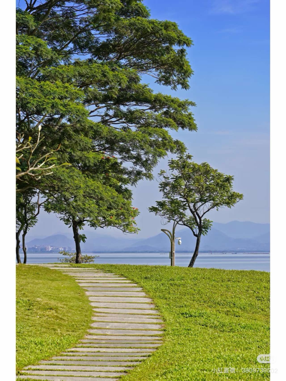 深圳灣公園由紅樹林海濱生態園及深圳灣濱海休閒帶兩個部分組成,融合了豐富的自然景觀及城市現代設施。