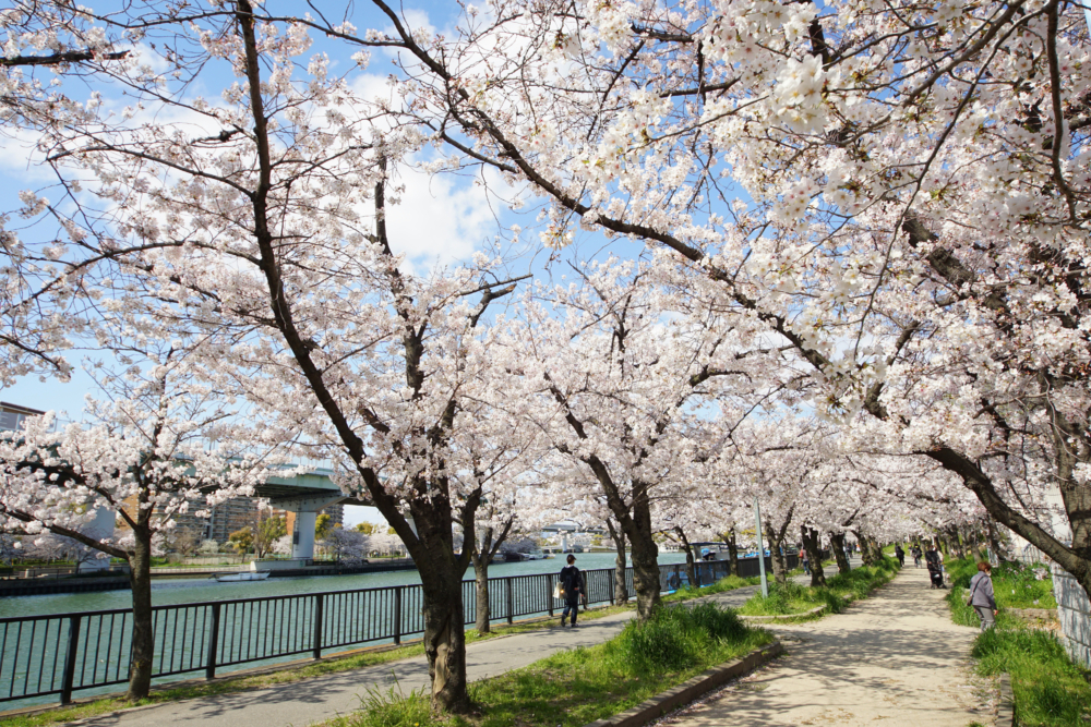 毛馬櫻之宮公園由南天滿公園、毛馬公園與蕪村公園三部分組成