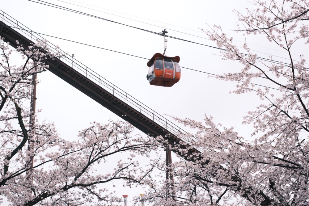 空中纜車「Sky Shuttle」。
