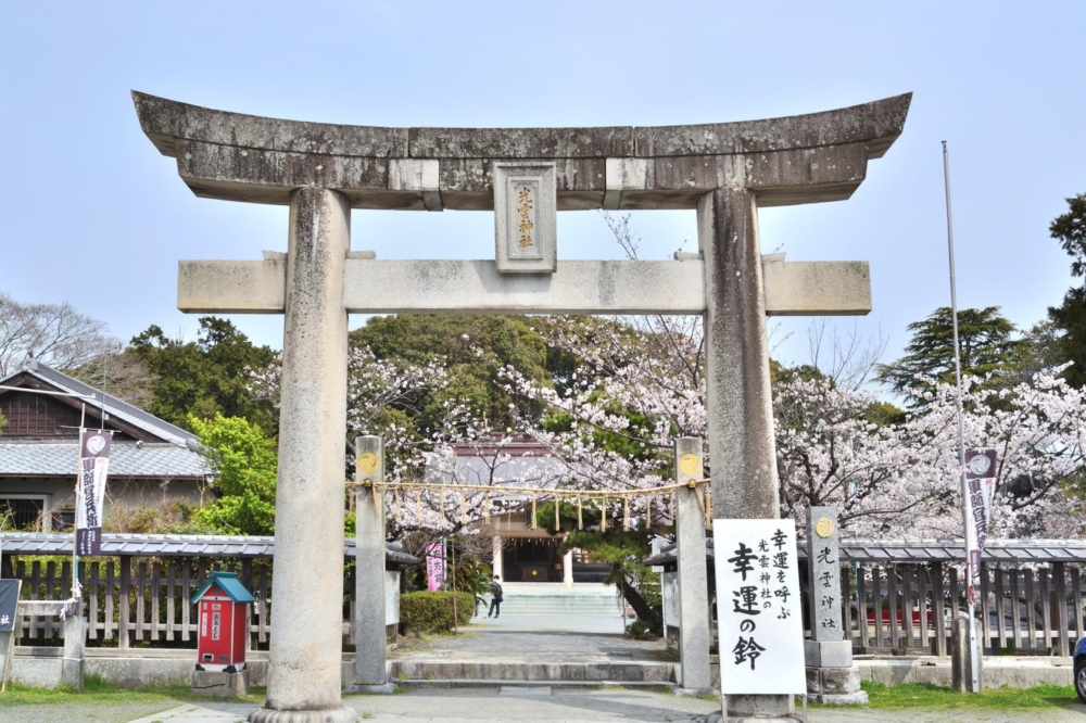 每年櫻花季,不僅通往光雲神社的街道開滿櫻花,就連神社內都是櫻花谷,簡直是結合賞櫻與祈福的絕佳地點。
