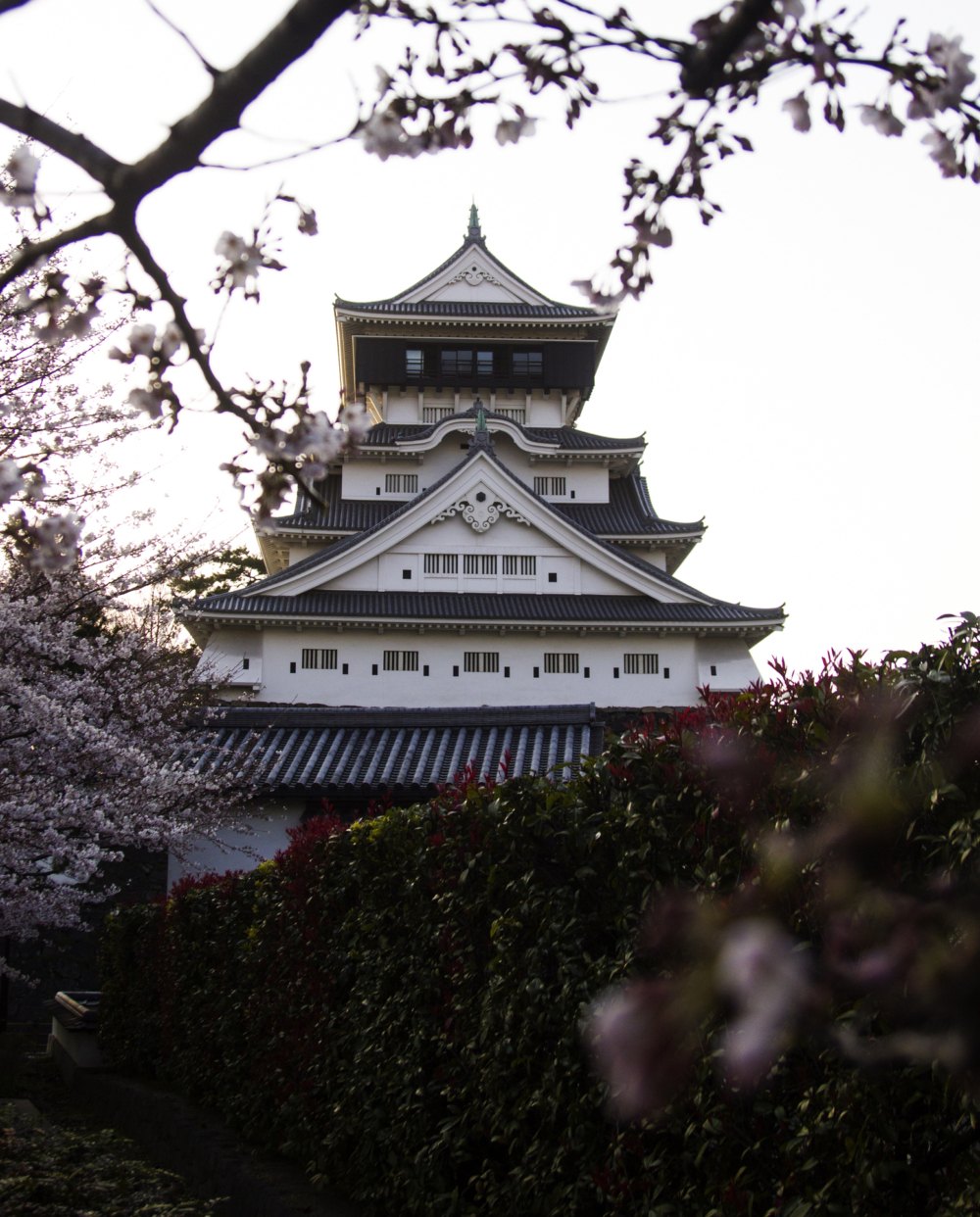天守閣的高度位居日本第六,並且擁有寬廣的建築空間,無論是俯瞰壯麗景色還是參觀歷史展覽,都能讓人深入感受這座歷史名城的魅力。