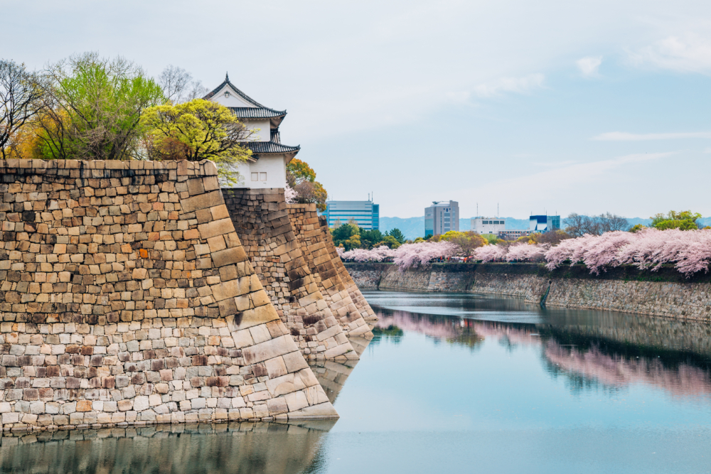 櫻花滿開，陽光灑落，白色城堡與粉色花海交織成最美春景！
