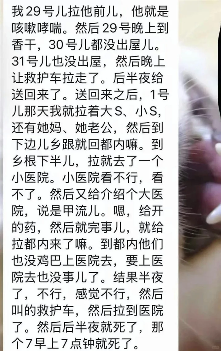 早前網路流傳疑似大S與家人同遊日本時當時導遊的說法