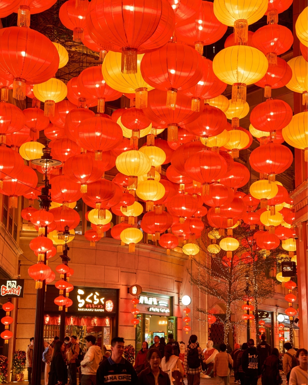 利東街今年以「喜慶燈海迎新春」為主題，在200米長的林蔭大道上空懸掛了逾800個豔紅金碧的燈籠，充滿濃厚的新年氣氛～