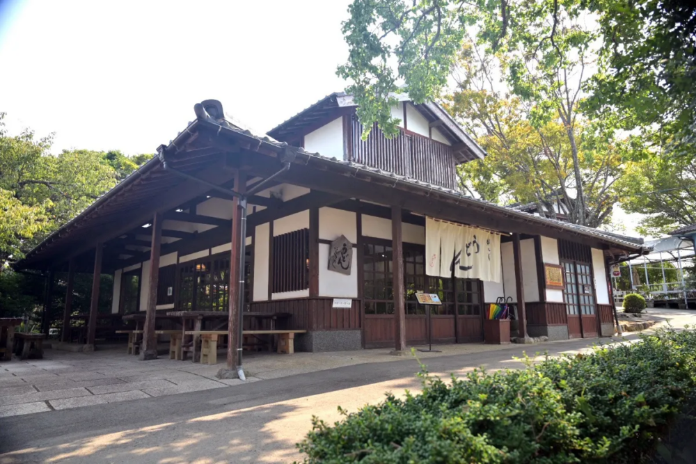 能古烏冬麵店(耕ちゃんうどん)