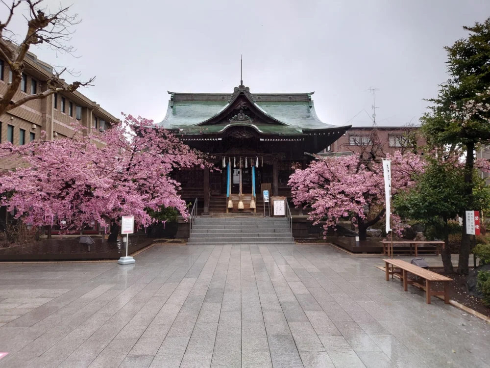 櫻神宮。